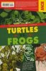 TEENAGE MUTANT NINJA TURTLES REBORN VOL 05 MYSTIC SISTER TP [9781684059164]